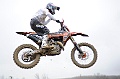 _ROB5299 (Copy)